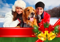 Kerstkaarten fotokaarten