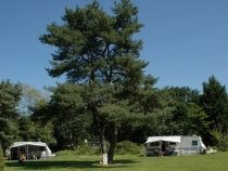 Camping de Witte Wieven