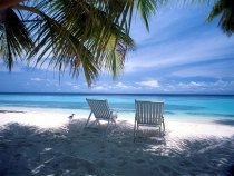 Mooi exotisch strand